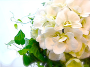 �u���C�_��