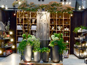 �f�B�X�v���C